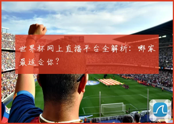 世界杯网上直播平台全解析：哪家最适合你？