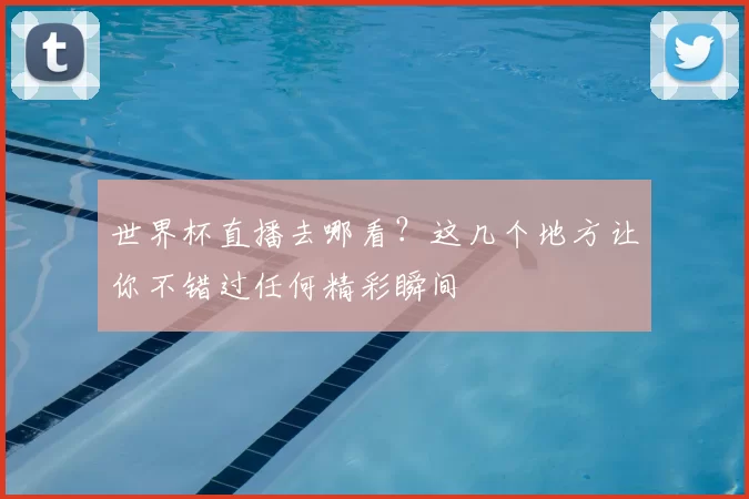 世界杯直播去哪看?这几个地方让你不错过任何精彩瞬间