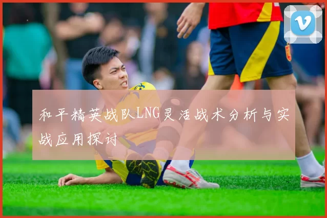 和平精英战队LNG灵活战术分析与实战应用探讨