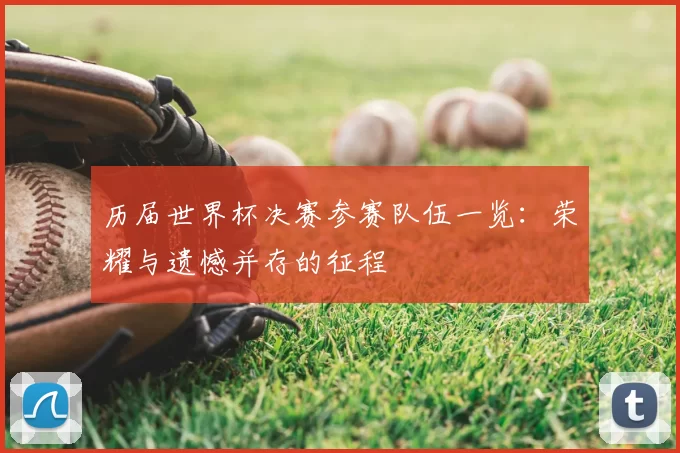 历届世界杯决赛参赛队伍一览：荣耀与遗憾并存的征程