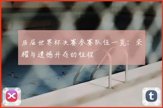历届世界杯决赛参赛队伍一览:荣耀与遗憾并存的征程