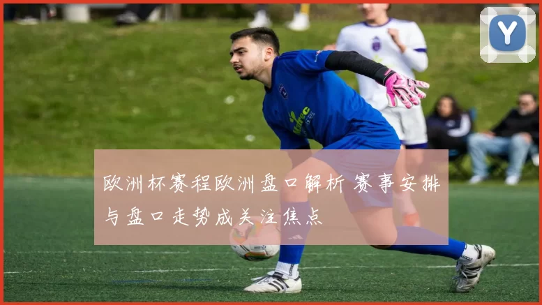 欧洲杯赛程欧洲盘口解析 赛事安排与盘口走势成关注焦点